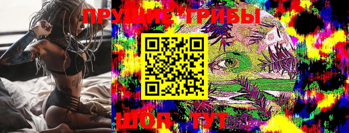 Вольск  Псилоцибиновые грибы GOLDEN TEACHER  Вход с VPN 